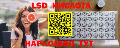 индика Можайск