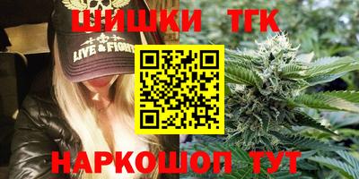 индика Можайск